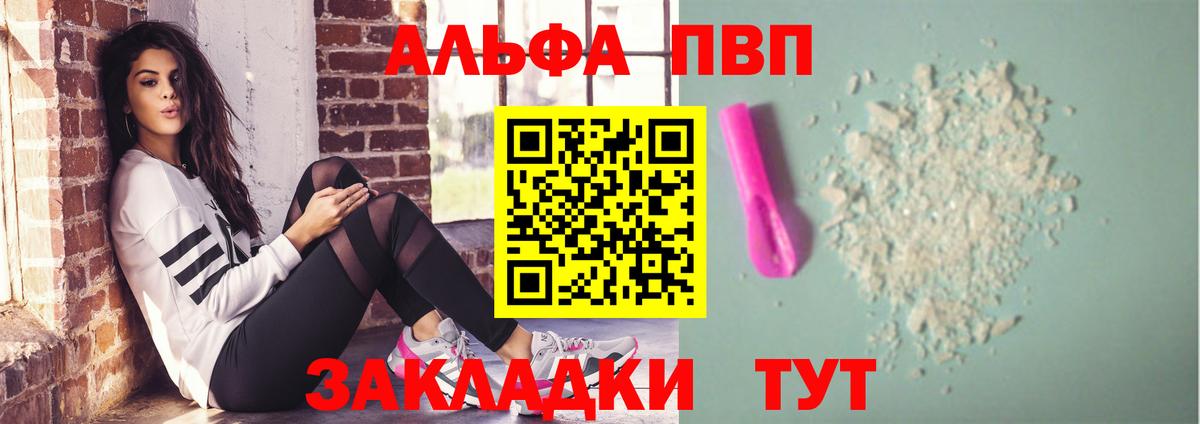 A PVP СК КРИС Петрозаводск
