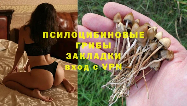 прущая мука Армянск