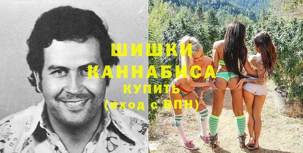 гашик Арсеньев