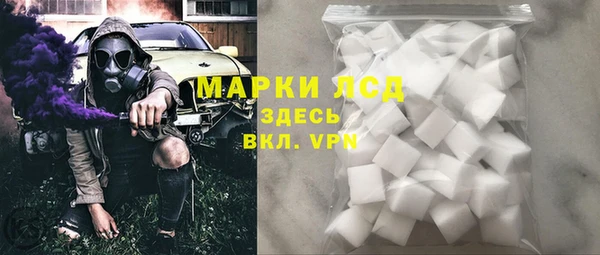 гашик Арсеньев