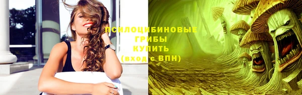 гашик Арсеньев