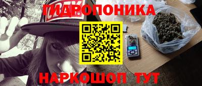 стафф Свободный