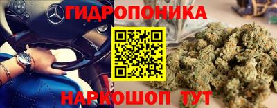 стафф Свободный