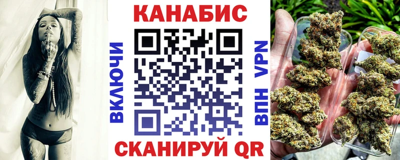 как найти наркотики  Петрозаводск  Конопля ГИДРОПОН 