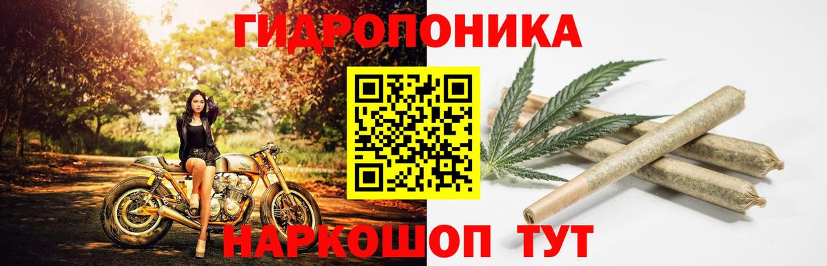Канабис ГИДРОПОН  Каннабис марихуана  Вход с VPN  МАРИХУАНА White Widow  Петрозаводск 